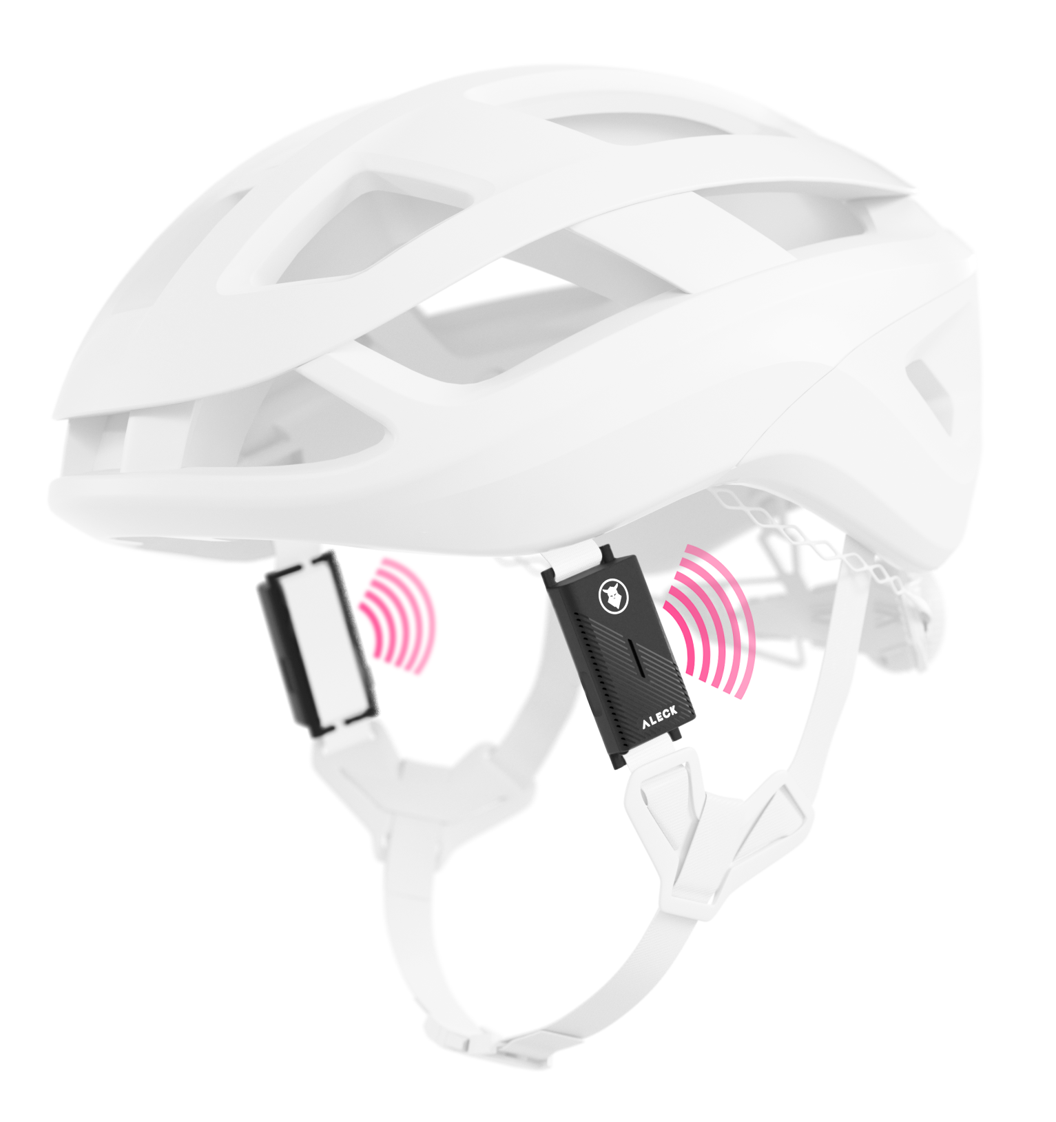 section helmet image